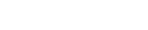 Detail District logo